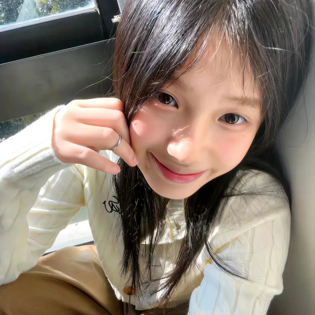 鹬